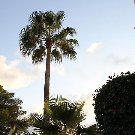 Villa la Baliza Jávea Exterior foto